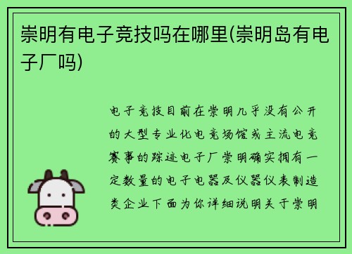 崇明有电子竞技吗在哪里(崇明岛有电子厂吗)